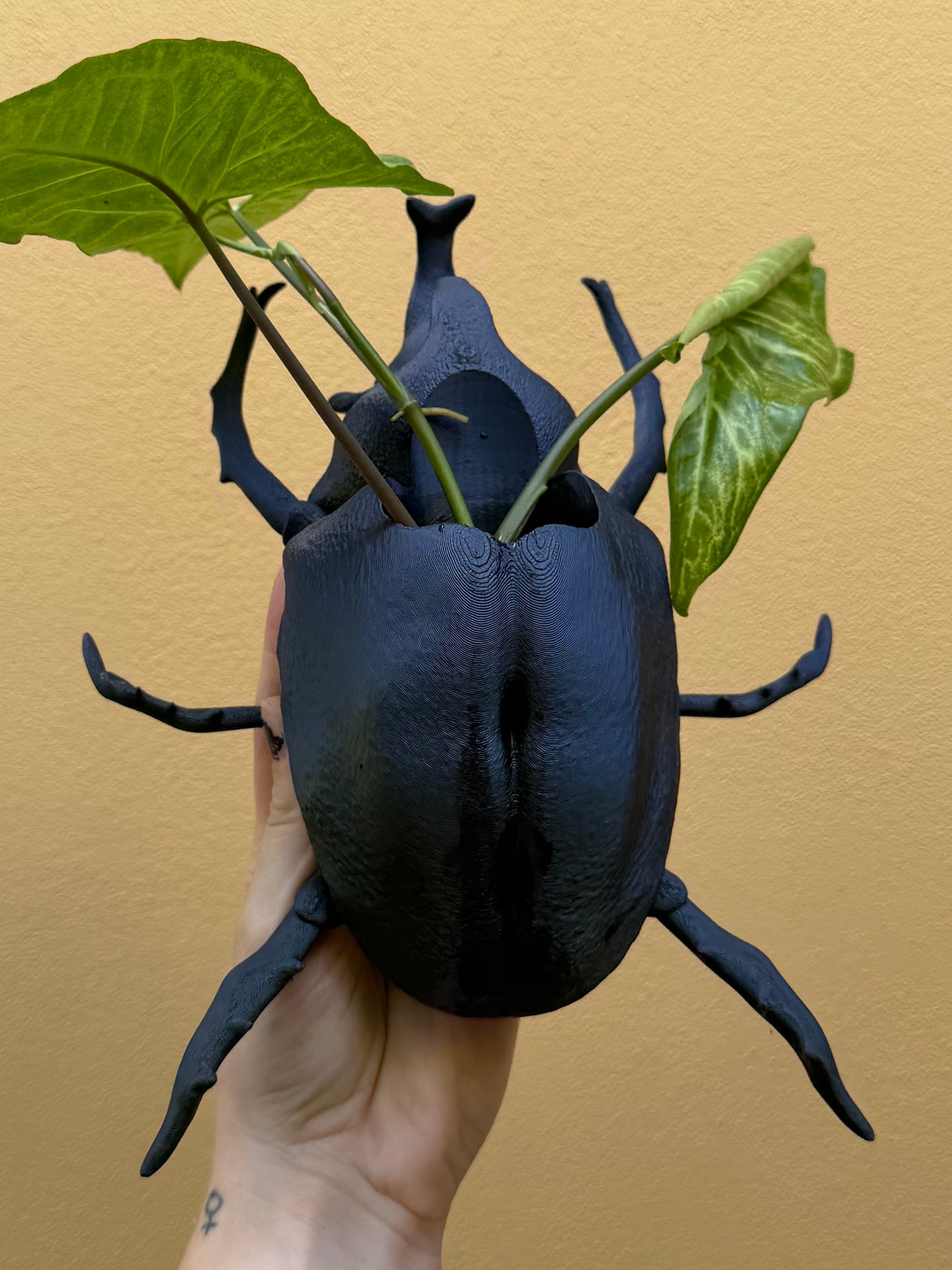Black Rhino beetle-shaped vase with green leaves against a beige background
